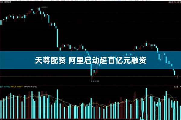 天尊配资 阿里启动超百亿元融资